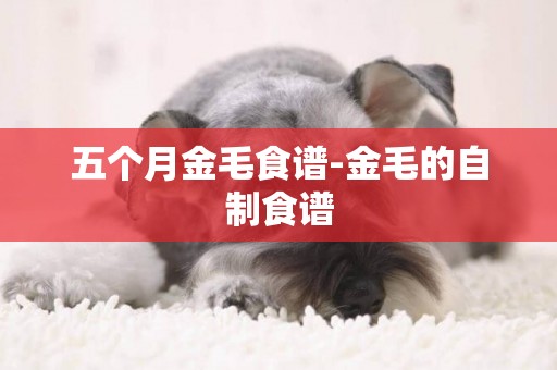 五個月金毛食譜-金毛的自制食譜
