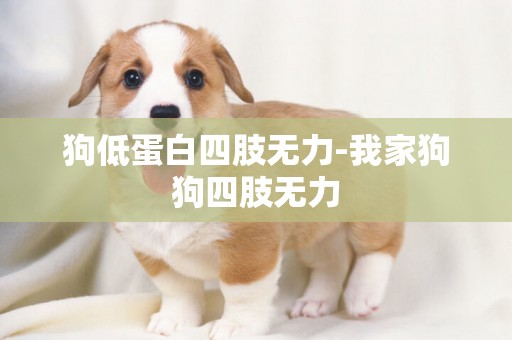 狗低蛋白四肢無力-我家狗狗四肢無力