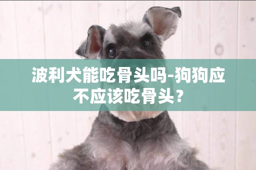 波利犬能吃骨頭嗎-狗狗應不應該吃骨頭？