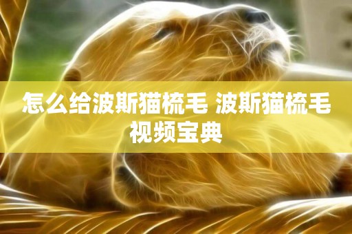 怎么給波斯貓梳毛 波斯貓梳毛視頻寶典