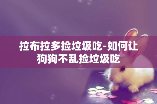 拉布拉多撿垃圾吃-如何讓狗狗不亂撿垃圾吃
