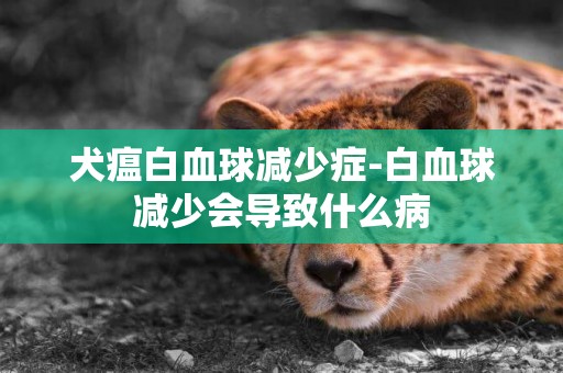 犬瘟白血球減少癥-白血球減少會導致什么病
