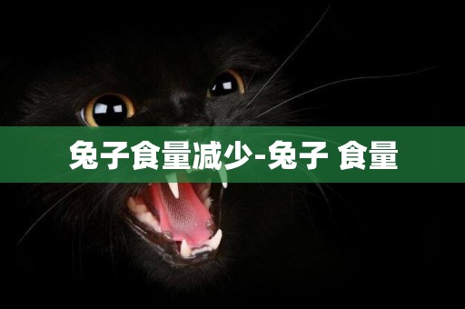兔子食量減少-兔子 食量