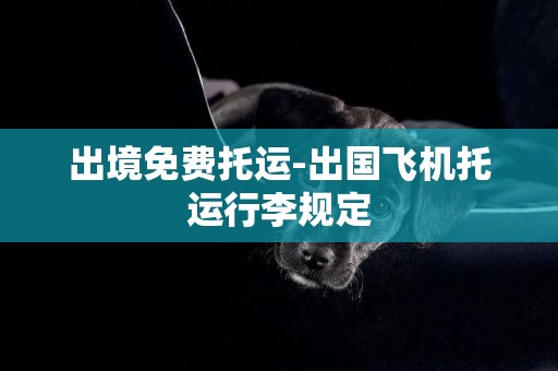 出境免費托運-出國飛機托運行李規定