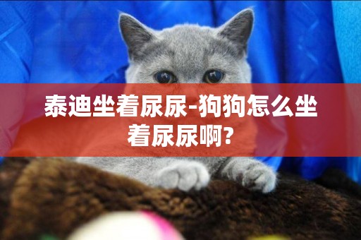 泰迪坐著尿尿-狗狗怎么坐著尿尿啊?