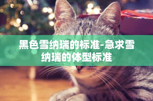 黑色雪納瑞的標準-急求雪納瑞的體型標準