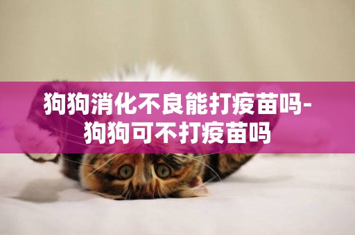 狗狗消化不良能打疫苗嗎-狗狗可不打疫苗嗎