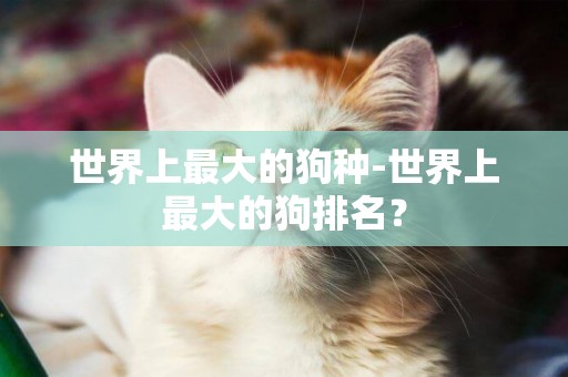 世界上最大的狗種-世界上最大的狗排名？