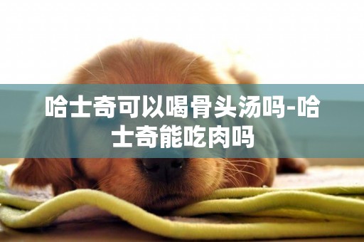 哈士奇可以喝骨頭湯嗎-哈士奇能吃肉嗎
