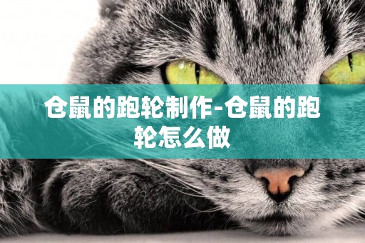 倉鼠的跑輪制作-倉鼠的跑輪怎么做