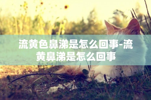流黃色鼻涕是怎么回事-流黃鼻涕是怎么回事