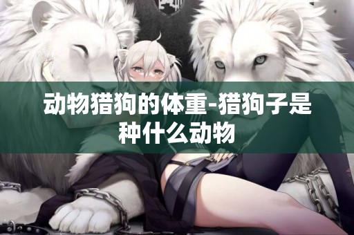 動物獵狗的體重-獵狗子是種什么動物