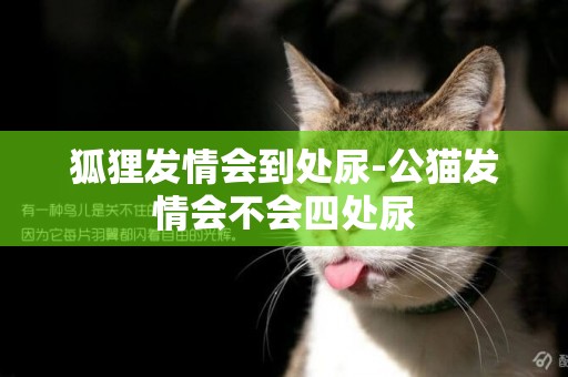 狐貍發情會到處尿-公貓發情會不會四處尿