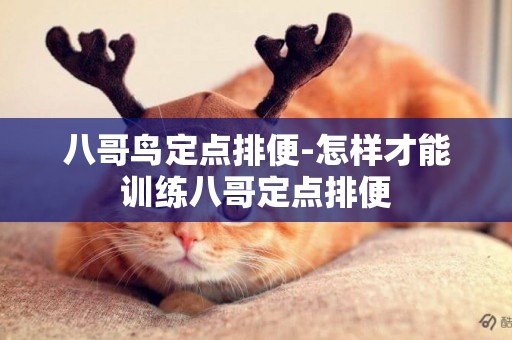 八哥鳥定點排便-怎樣才能訓練八哥定點排便