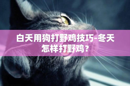 白天用狗打野雞技巧-冬天怎樣打野雞？