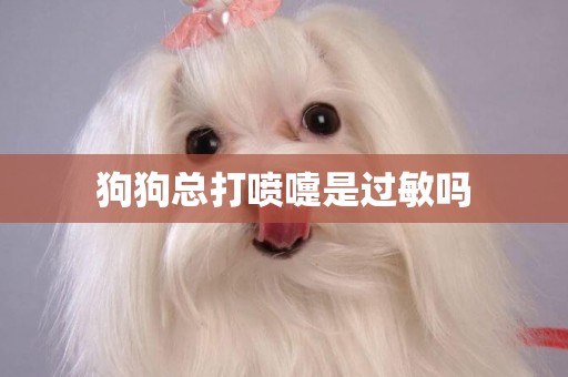 狗狗總打噴嚏是過敏嗎