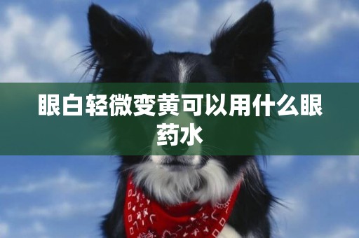 眼白輕微變黃可以用什么眼藥水