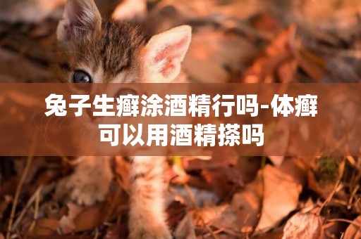 兔子生癬涂酒精行嗎-體癬可以用酒精搽嗎