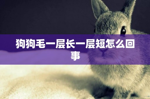 狗狗毛一層長一層短怎么回事