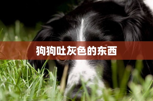 狗狗吐灰色的東西