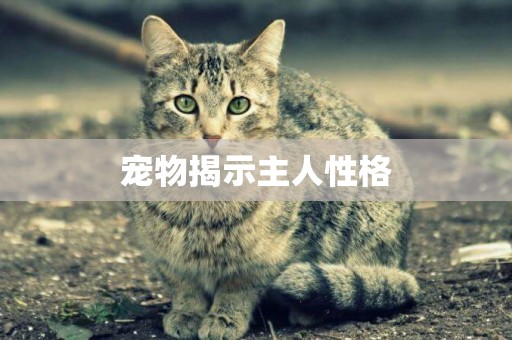 寵物揭示主人性格