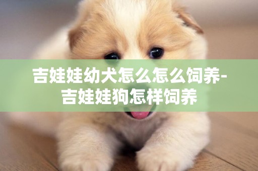 吉娃娃幼犬怎么怎么飼養-吉娃娃狗怎樣飼養