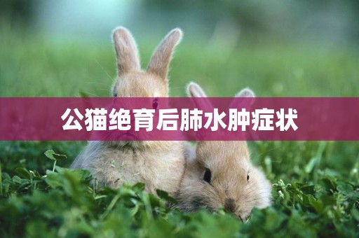 公貓絕育后肺水腫癥狀