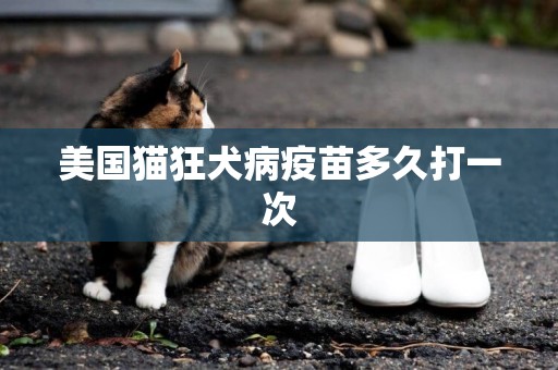 美國貓狂犬病疫苗多久打一次