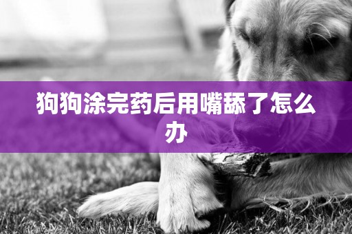 狗狗涂完藥后用嘴舔了怎么辦