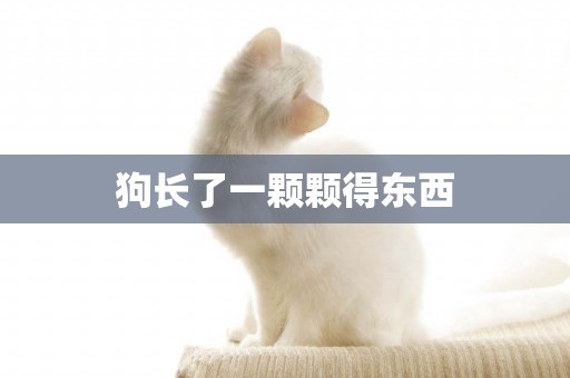 狗長了一顆顆得東西