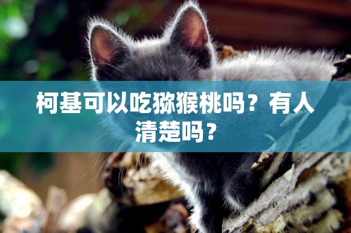 柯基可以吃獼猴桃嗎？有人清楚嗎？