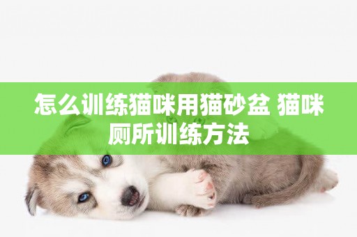怎么訓練貓咪用貓砂盆 貓咪廁所訓練方法