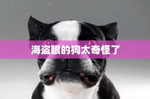 海盜眼的狗太奇怪了
