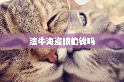 法牛海盜眼值錢嗎