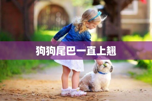 狗狗尾巴一直上翹