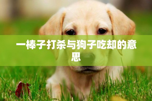一棒子打殺與狗子吃卻的意思
