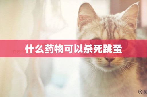 什么藥物可以殺死跳蚤
