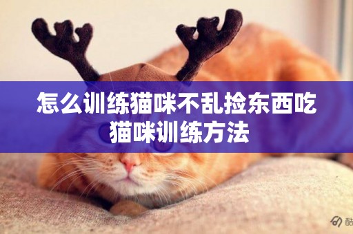 怎么訓練貓咪不亂撿東西吃 貓咪訓練方法