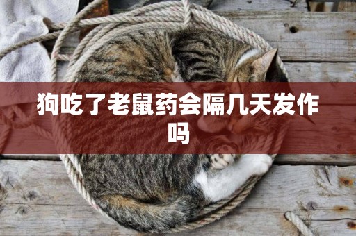 狗吃了老鼠藥會隔幾天發作嗎
