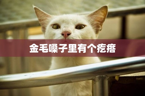 金毛嗓子里有個疙瘩