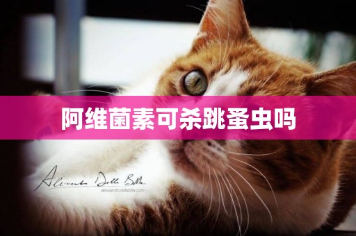 阿維菌素可殺跳蚤蟲嗎