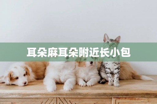 耳朵麻耳朵附近長小包