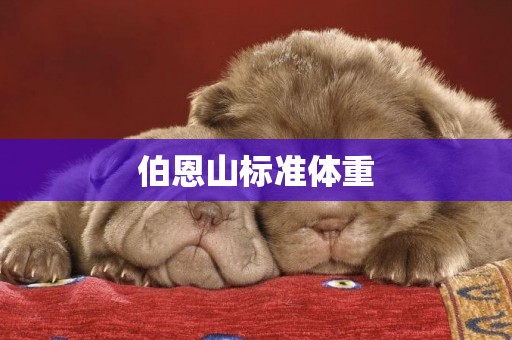 伯恩山標準體重