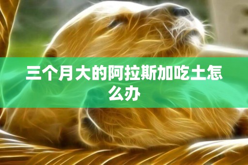 三個月大的阿拉斯加吃土怎么辦