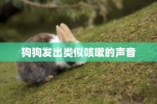 狗狗發出類似咳嗽的聲音