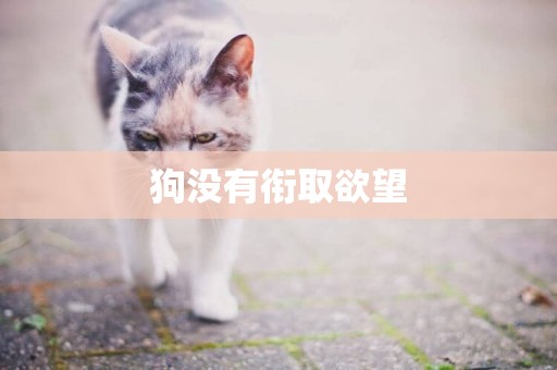 狗沒有銜取欲望