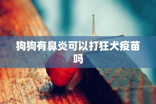 狗狗有鼻炎可以打狂犬疫苗嗎