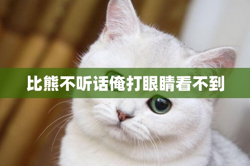 比熊不聽話俺打眼睛看不到
