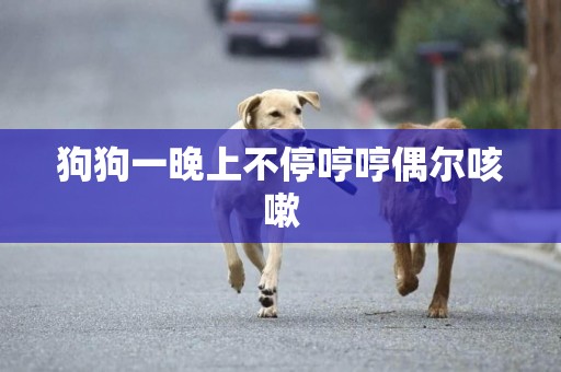 狗狗一晚上不停哼哼偶爾咳嗽