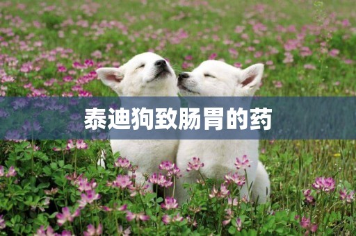 泰迪狗致腸胃的藥